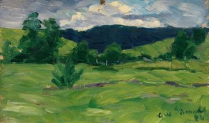 Verano de Gustav Wentzel
